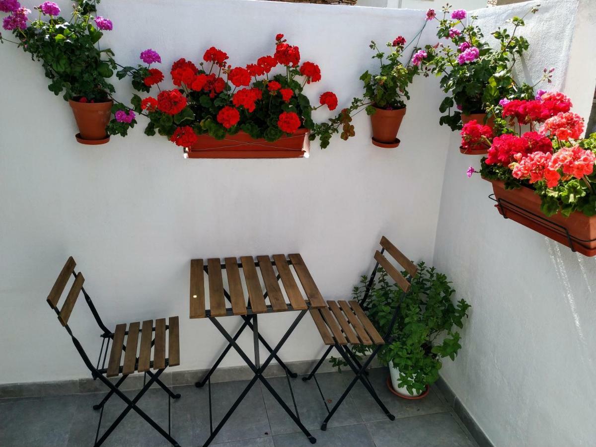 Apartamento Entero "El Casco Antiguo" Vt-46811-V Xàtiva Kültér fotó