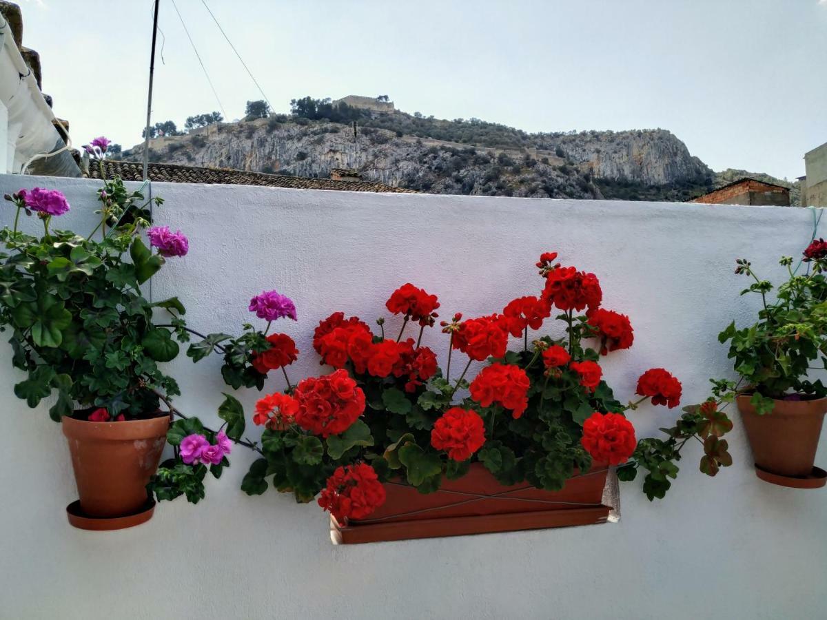 Apartamento Entero "El Casco Antiguo" Vt-46811-V Xàtiva Kültér fotó